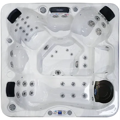 Avalon EC-849L hot tubs for sale in Boulder